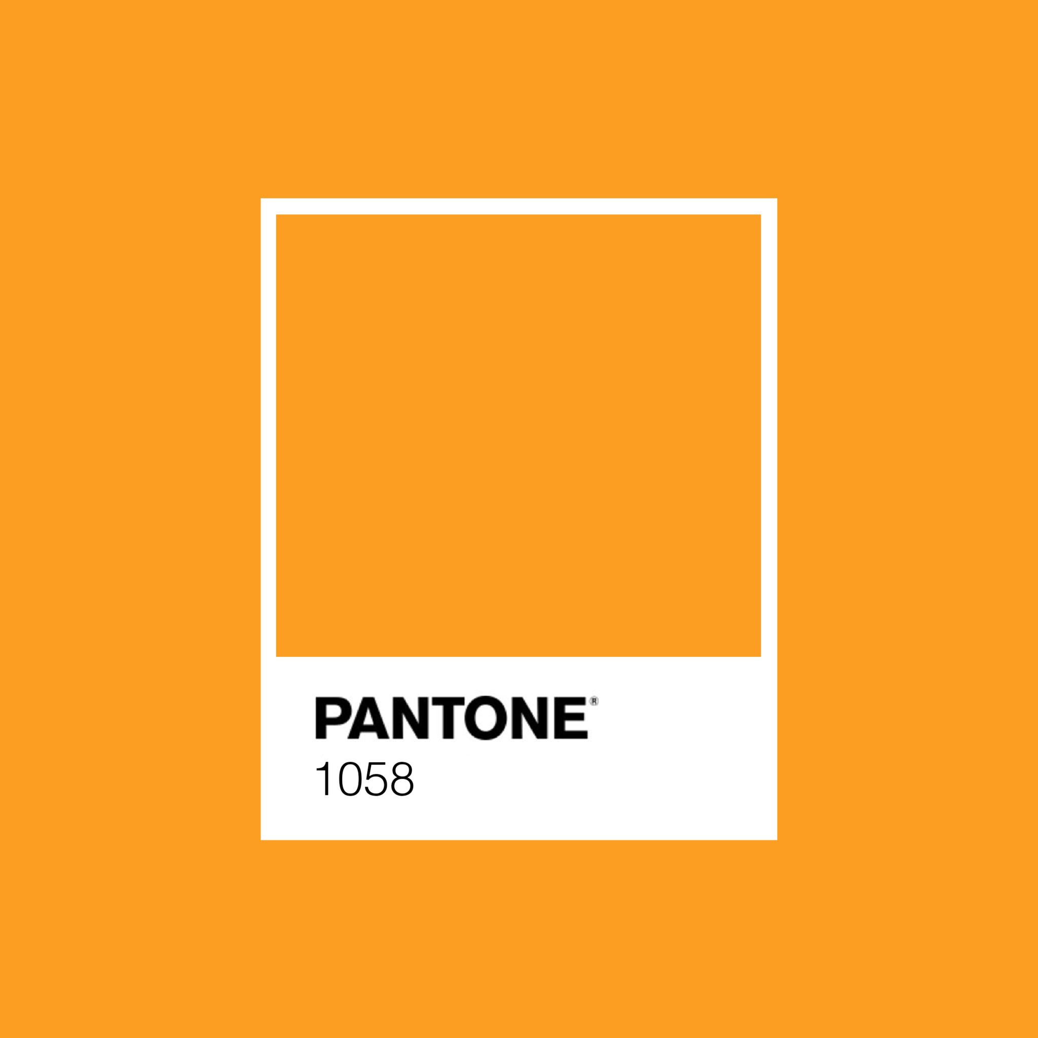 Color of The Year | Brandfirst