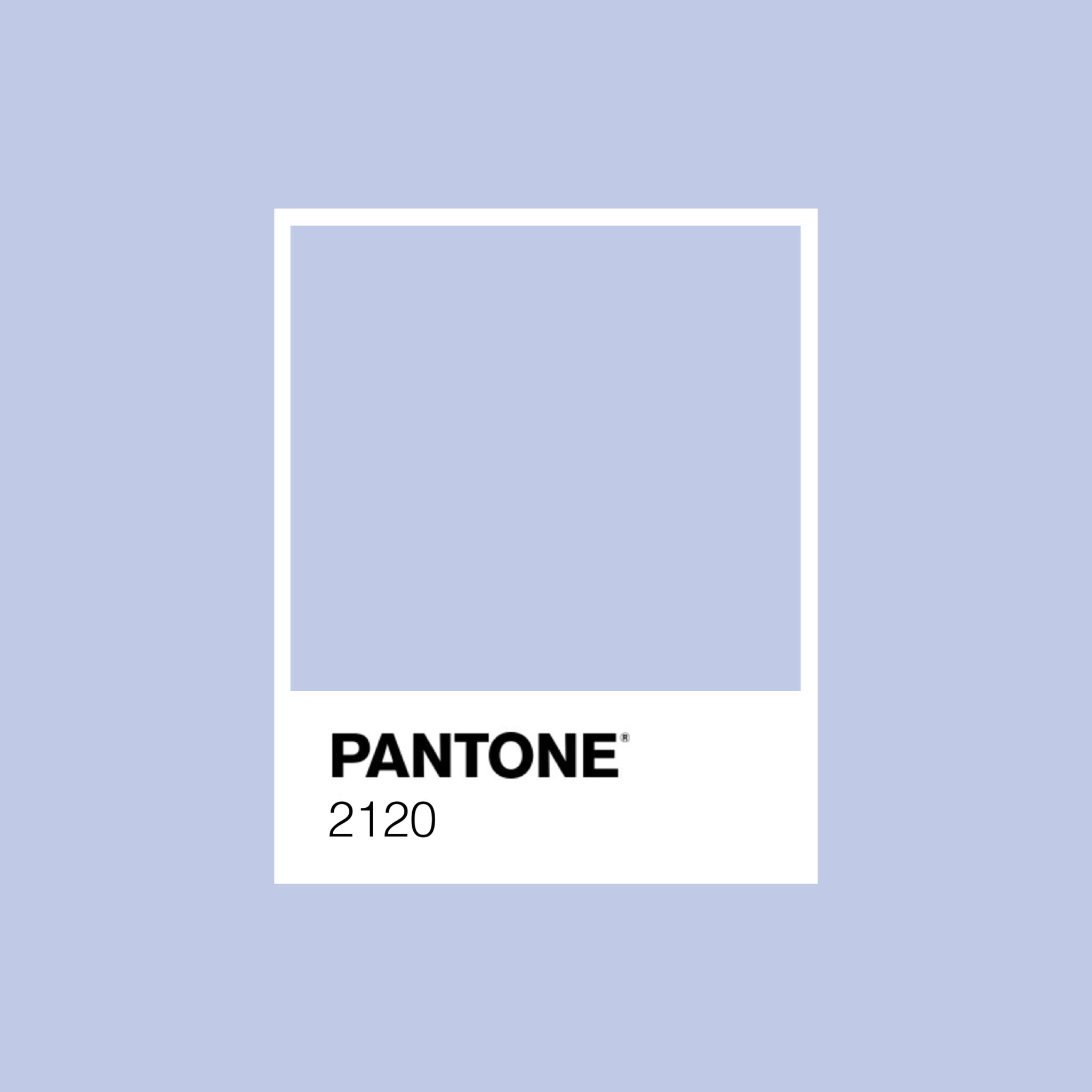 Color of The Year | Brandfirst